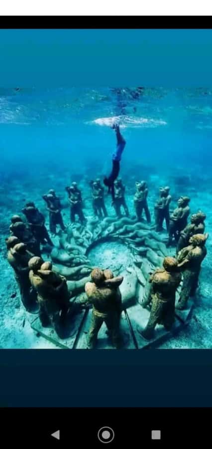 Lombok : Gili Islands Private Snorkeling Tour - Who This Tour Suits Best