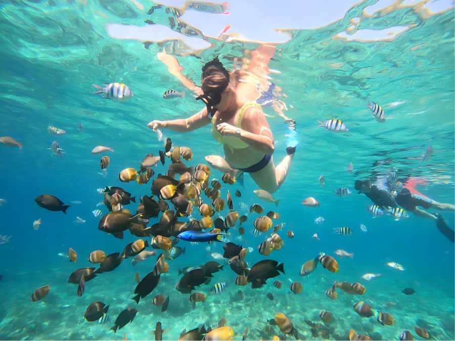 Lombok: Gili Nanggu, Sudak and Kedis Private Snorkeling Tour - Why This Gili Nanggu Day Feels Like Your Own Private Island Hop
