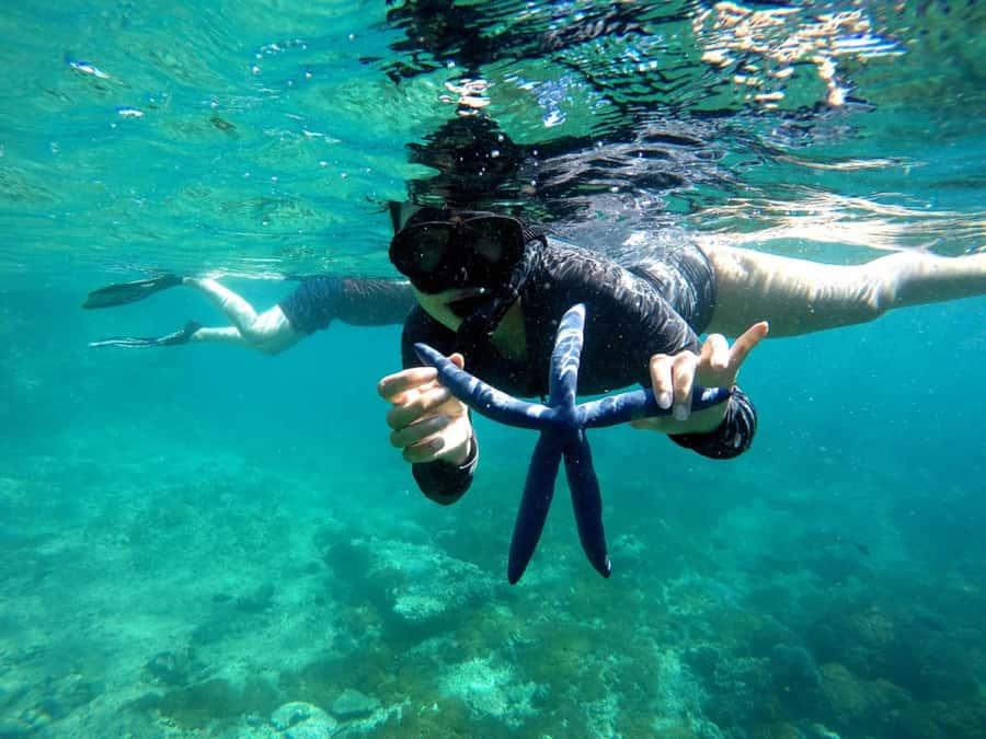 Lombok: Gili Nanggu, Sudak and Kedis Private Snorkeling Tour - Nature Rules: When Reef Respect Makes the Day Better