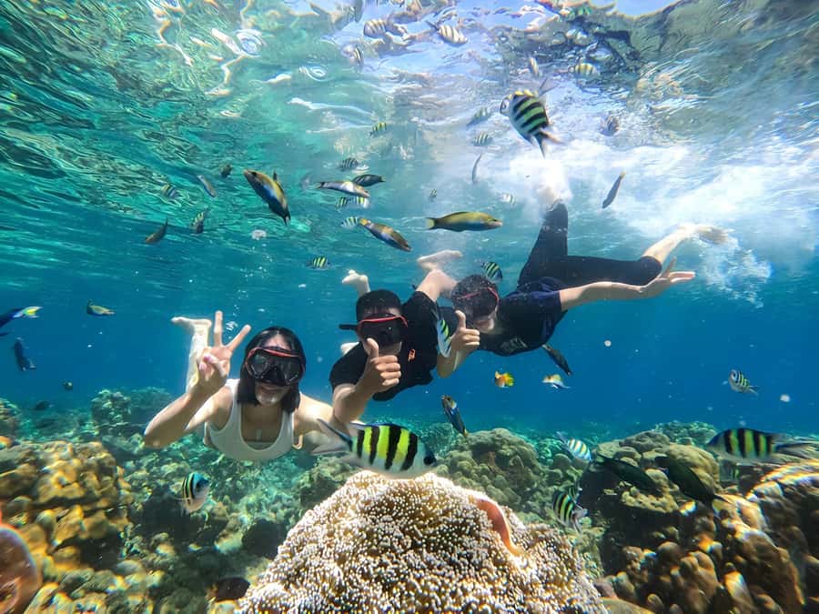 Lombok: Gili Nanggu, Sudak and Kedis Private Snorkeling Tour - Getting From Your Hotel to Tawun Village (and the 30-Min Boat Ride)