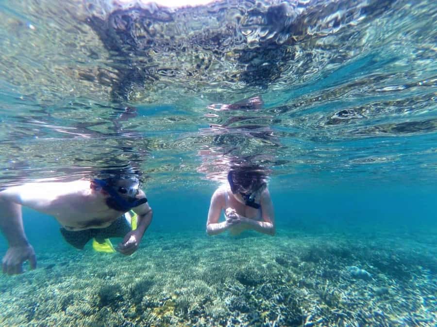Lombok: Gili Nanggu Sudak and Kedis Snorkeling Tour - Gili Kedis: The Last Snorkel Stop and Final Beach Time