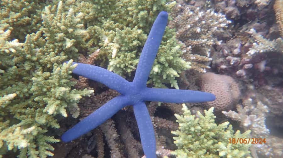 Lombok: Gili Nanggu Sudak and Kedis Snorkeling Tour - What’s Included in the $48 Price (and Why It’s Actually Good Value)