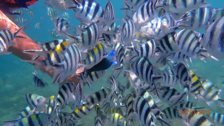 Lombok: Gili Nanggu Sudak and Kedis Snorkeling Tour - Practical Tips: What to Bring, What to Wear, and Sun Realities