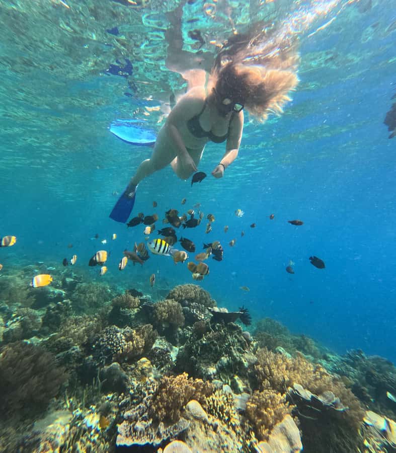 Lombok: Gili Nanggu Sudak and Kedis Snorkeling Tour - How the Day Flows: Pickup, Taun Harbour, and Slow-Boat Timing