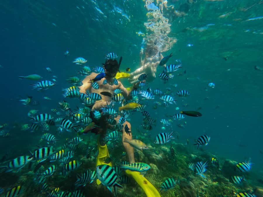 Lombok: Gili Nanggu, Sudak, & Gili Kedis Private Snorkeling - Quick hits on the Secret Gilis day trip