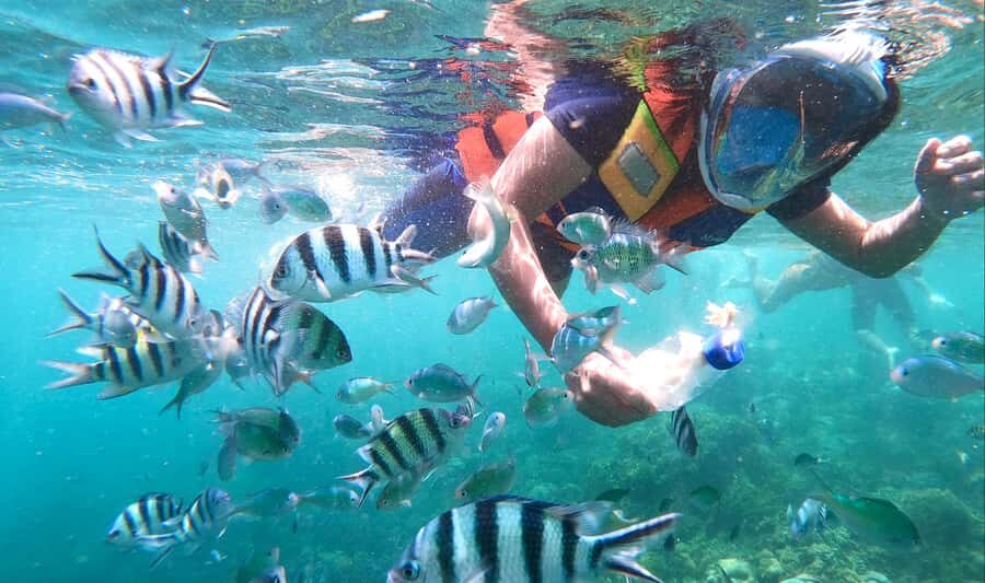 Lombok: Gili Nanggu, Sudak, & Gili Kedis Private Snorkeling - From Senggigi pickup to island hopping: how the 9-hour day really moves