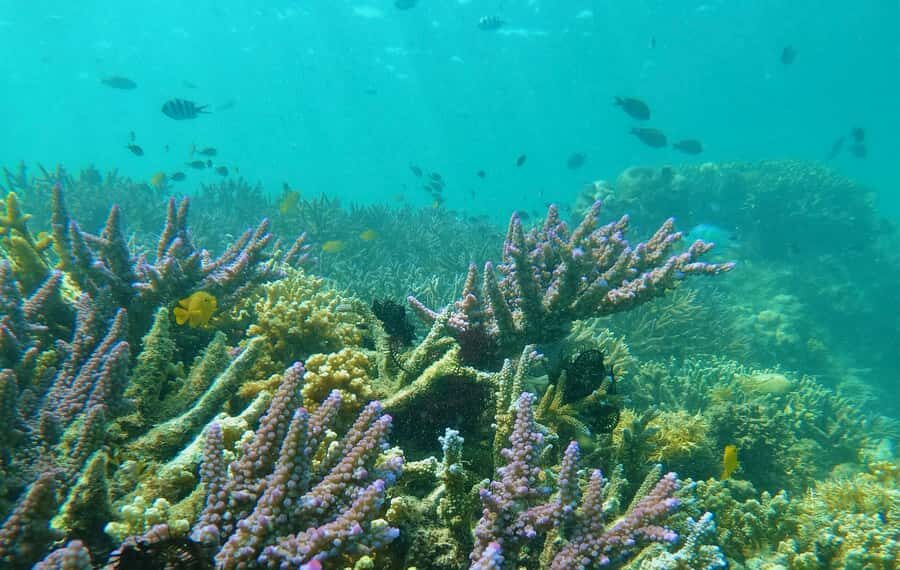Lombok: Gili Nanggu, Sudak, & Gili Kedis Private Snorkeling - Boat ride + snorkeling gear: comfort tips that make a difference