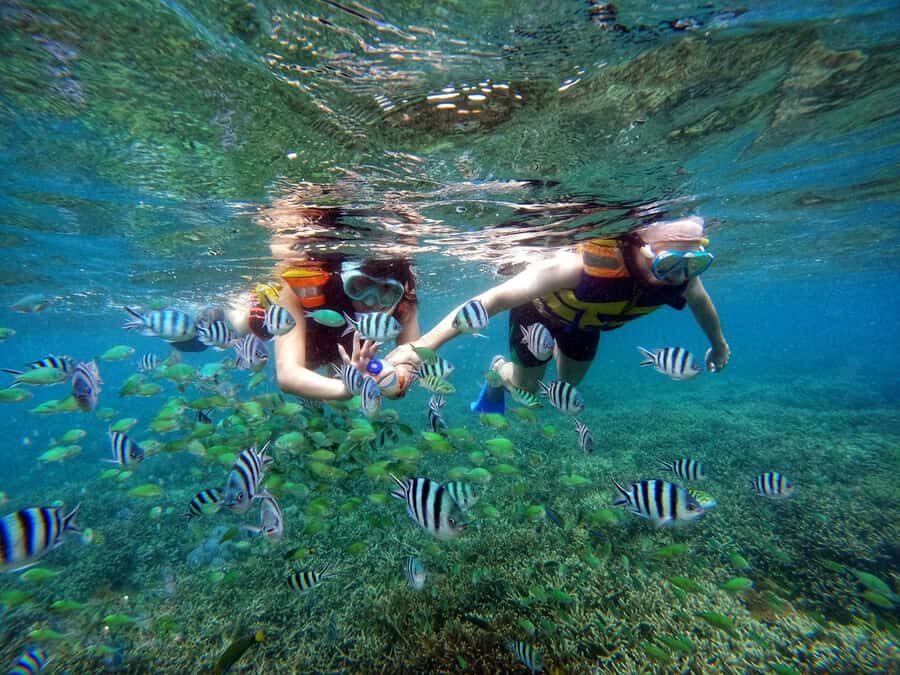 Lombok: Gili Nanggu, Sudak, & Gili Kedis Private Snorkeling - Price and value: what $48 covers on a private island day