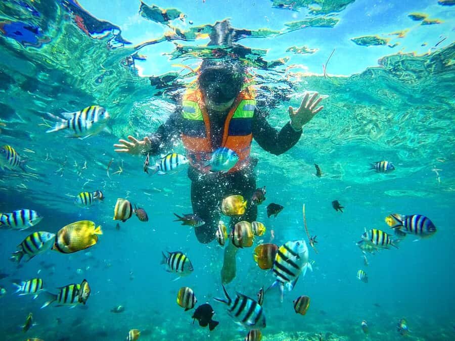Lombok: Gili Nanggu, Sudak, & Gili Kedis Private Snorkeling - Gili Nanggu snorkeling for 1.5 hours: where the fish sightings start to happen