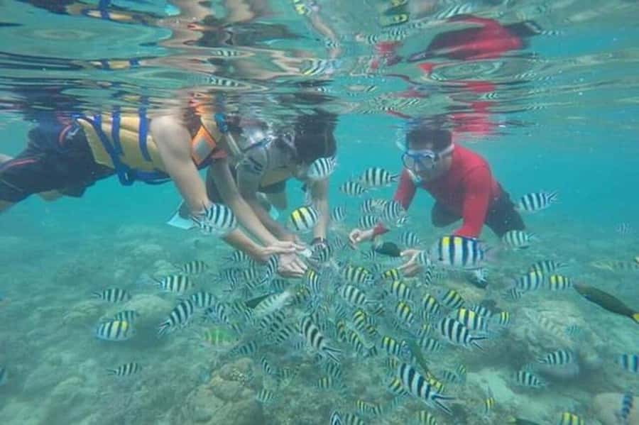 Lombok: Gili Nanggu, Tangkong, Sudak, and Kedis Islands Tour - Key highlights at a glance