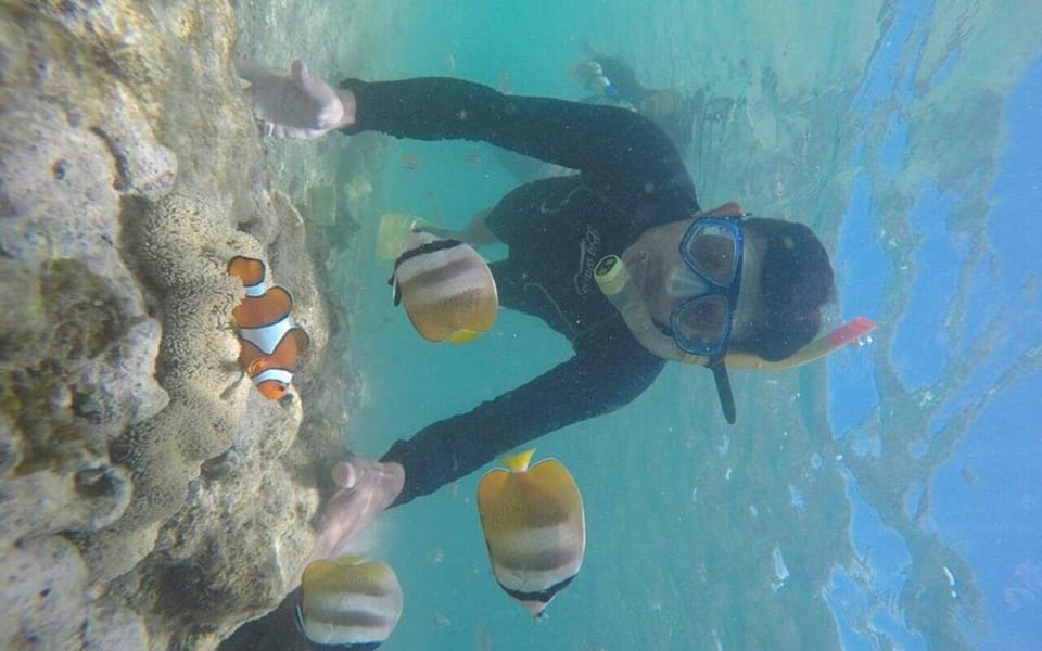 Lombok: Gili Nanggu, Tangkong, Sudak, and Kedis Islands Tour - Who this tour fits best in Lombok
