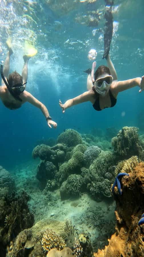 Lombok: Gili Nanggu, Tangkong, Sudak, and Kedis Islands Tour - Tour pace and guide style: what to expect with a private group