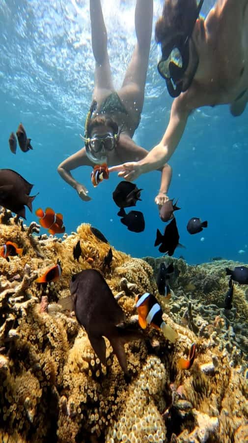 Lombok: Gili Nanggu, Tangkong, Sudak, and Kedis Islands Tour - Price and value: why $49 can make sense here