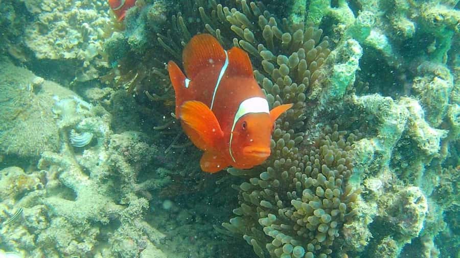 Lombok: Gili Rengit, Gili Gede, and Gili Layar Island Tour - Key highlights you’ll feel on the day