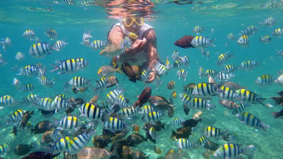 Lombok: Gili Trawangan, Meno, Air Snorkeling Trip - Pickup from Lombok: where the day starts (and why it matters)
