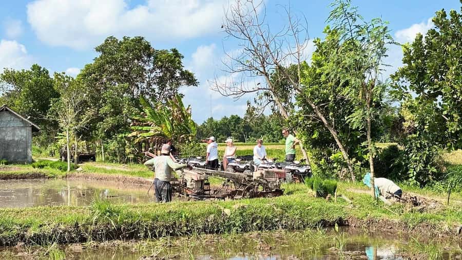 Lombok: Off-Road ATV Ride, Jungle Trek & Waterfall Escape - The ATV ride: beginner-friendly adrenaline over rice fields