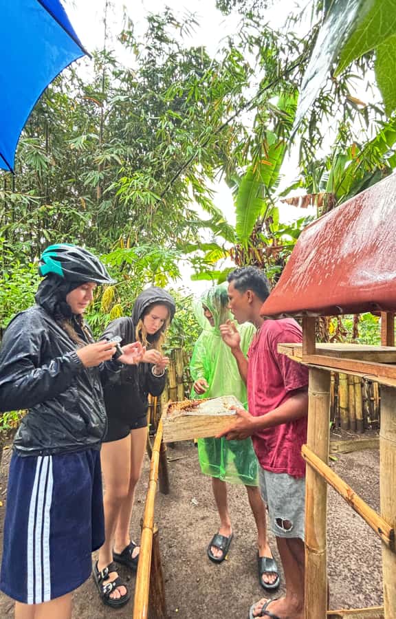 Lombok: Off-Road ATV Ride, Jungle Trek & Waterfall Escape - Photography and timing: where the tour saves you work