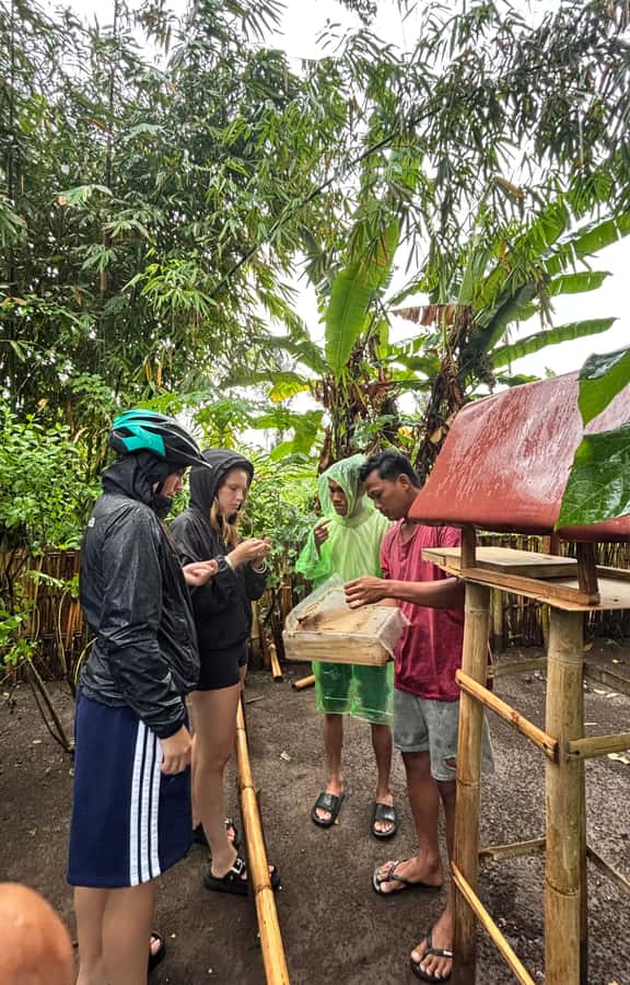 Lombok: Off-Road ATV Ride, Jungle Trek & Waterfall Escape - What to bring (and how to avoid the common mistakes)
