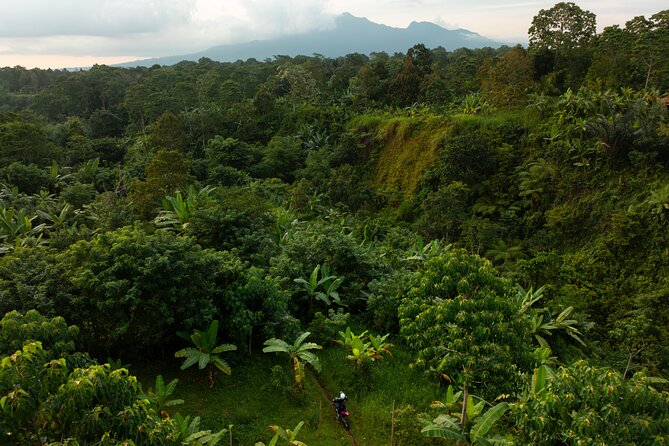 Lombok Off Road Dirt Biking and Enduro Trails Adventure - From Rice Paddies to Jungle Tracks: What the Riding Feels Like