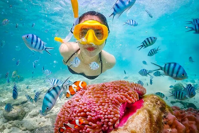 Lombok Pink Beach Boat Trip (Full Day + Snorkeling) - Gili Pasir and Gili Petel: Tiny Islands, Low-Tourism Feeling