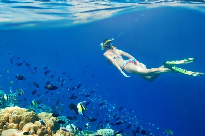 Lombok Pink Beach Boat Trip (Full Day + Snorkeling) - Pantai Pink (Tangsi Beach): When the Sand Isn’t Photo-Perfect