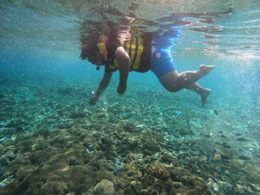 Lombok Pink Beach Boat Trip : Snorkeling & Relaxing - Price and Included Value: What $95 Covers on This Day