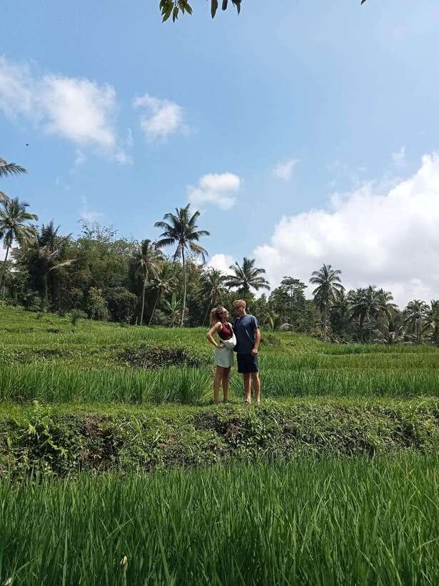 Lombok : Privat Tour Benang Kelambu Waterfall, Rice Terrace. - Pickup from Lembar, Mangsit, or Koeta: easy start, plan for a full day
