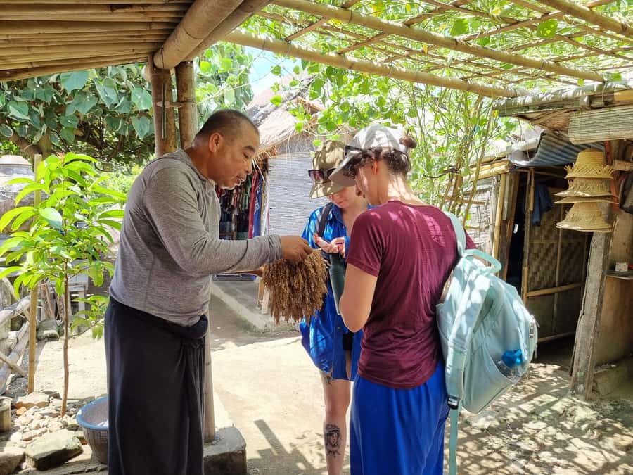 Lombok: Private Customizable Tour with Driver-Guide - Key highlights in plain terms
