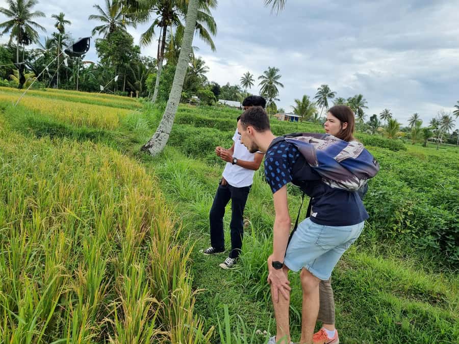 Lombok: Private Customizable Tour with Driver-Guide - How the private pickup and driver rhythm really works