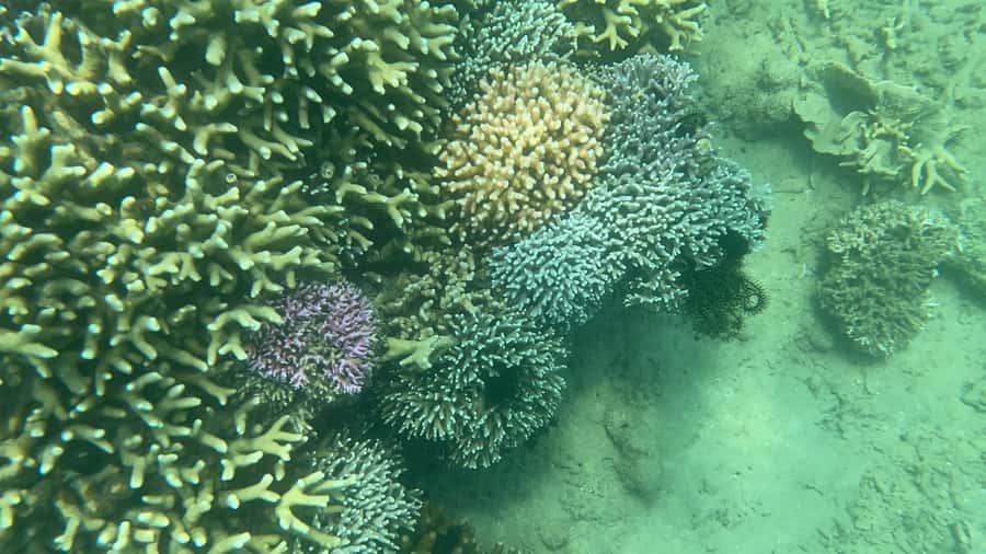 Lombok: Private day trip snorkeling in Secret Island - Best Fit for This Private Secret Island Day Trip