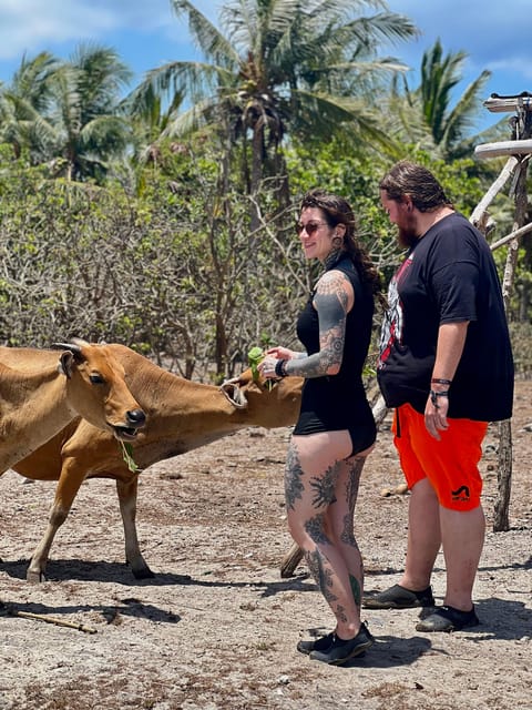 Lombok: Private day trip snorkeling in Secret Island - Lunch and Reset Time at Gili Layar