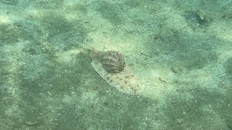 Lombok: Private day trip snorkeling in Secret Island - What to Bring (and What to Do Before You Go)