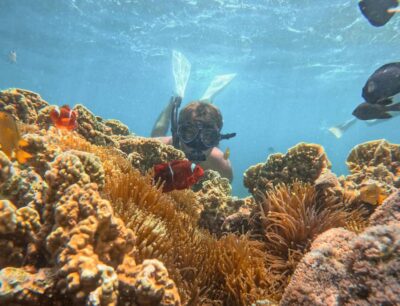 Lombok: Private Pink Beach & Gili Snorkeling Tour with GoPro - Tanjung Luar Harbour to Pulau Pasir: The “Starfish Window”