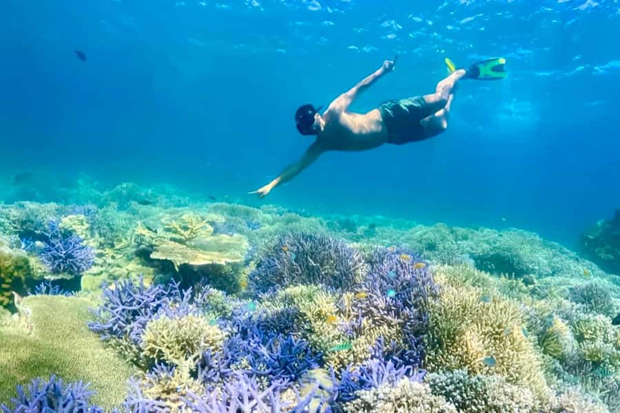 Lombok: Private Snorkeling,Gili Trawangan,Gili Meno,Gili Air - Gili Air: Fish Garden Snorkeling With a Real Guide