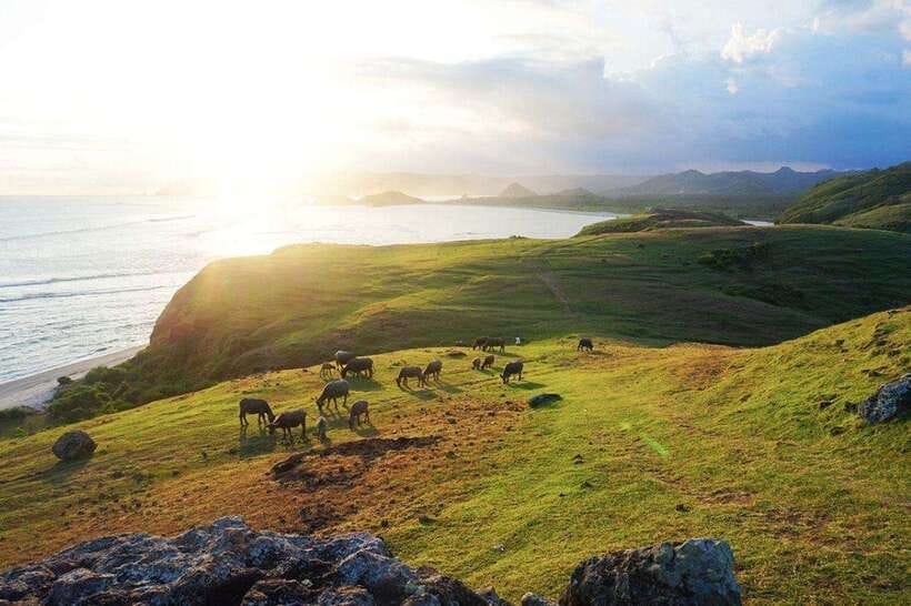 Lombok Sasak Culture and village Tour - Who This Tour Fits Best (and Who Might Want Something Else)