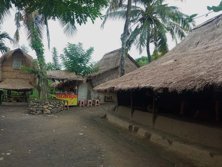 Lombok: Sasak Traditional Villages and Beaches Tour - The guide and driver: what “good service” looks like on this kind of day