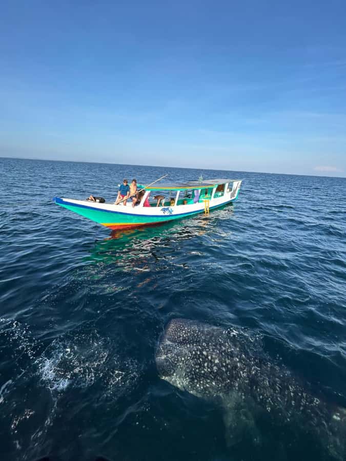 Lombok : Sharing Whale Shark Tour 2 Day 1 Night Sumbawa - Practical packing list: what you should bring on top of the inclusions