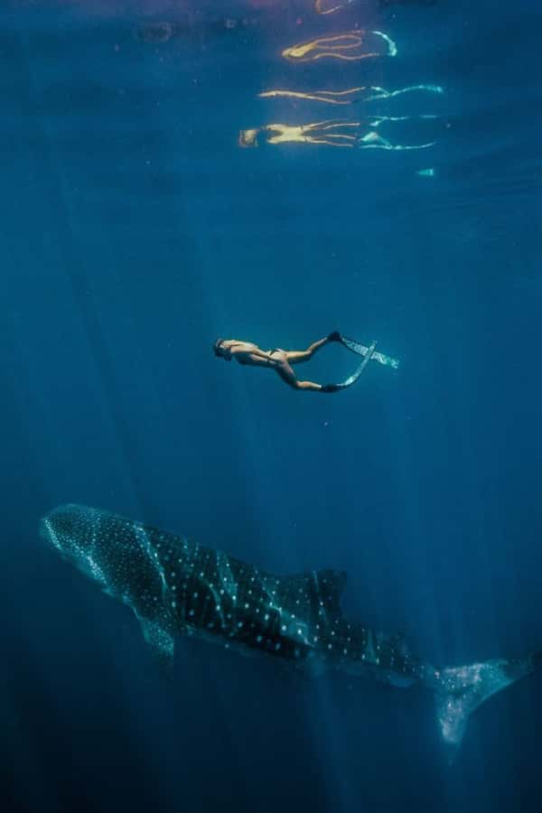 Lombok : Sharing Whale Shark Tour 2 Day 1 Night Sumbawa - Day 1 route from Mataram to Sumbawa: ferries, timing, and comfort checks
