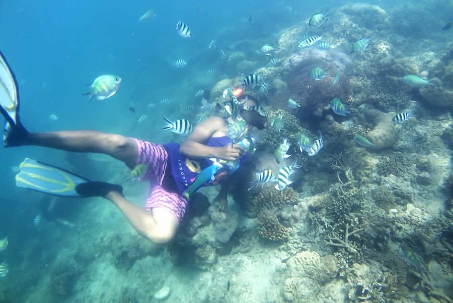 Lombok: Snorkeling Trip Gili Nanggu, Sudak & Kedis - West Lombok’s quiet gili loop: what makes it worth your time