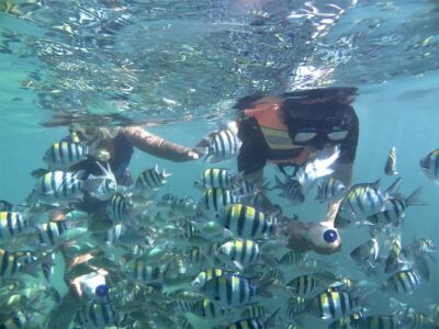 Lombok: Snorkeling Trip Gili Nanggu, Sudak & Kedis - Pickup and timing: how the day stays organized (even on a cruise)