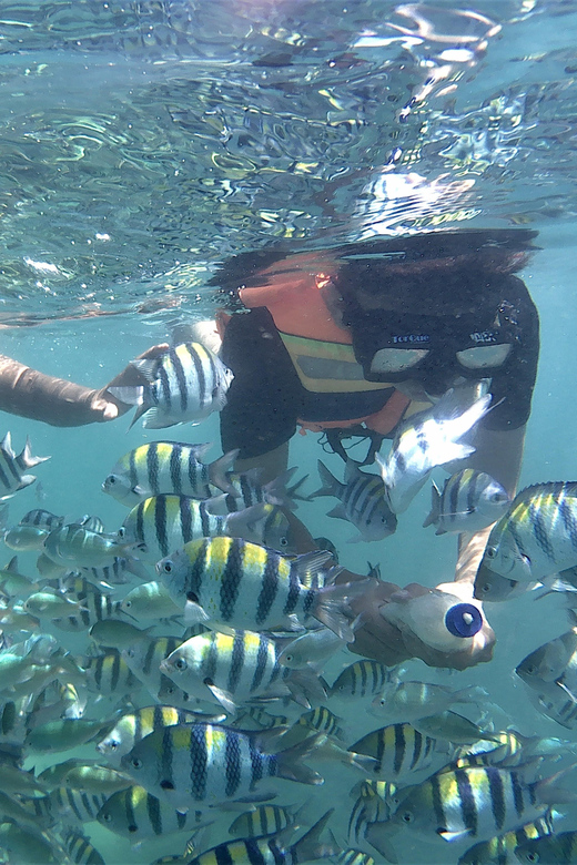 Lombok: Snorkeling Trip Gili Nanggu, Sudak & Kedis - Gili Bedis (Kedis) photo stop and snorkeling (about 1 hour)