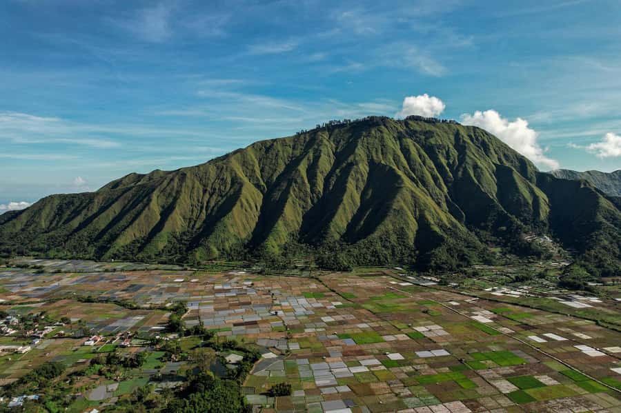 Lombok Spectacular: Waterfalls, Selong Hill & Pusuk Sembalun - Selong Hill Bukit Sembalun: terraced views with real breathing room