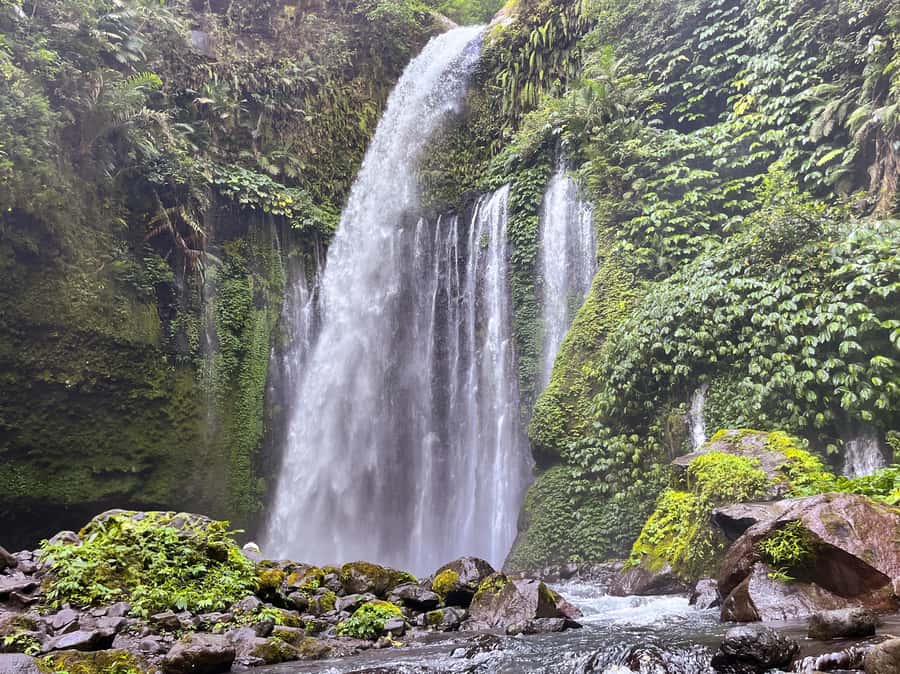 Lombok Spectacular: Waterfalls, Selong Hill & Pusuk Sembalun - Who this tour suits best (and who should skip it)