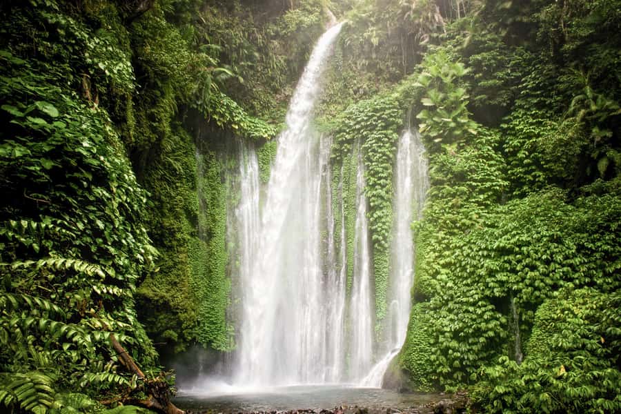 Lombok Spectacular: Waterfalls, Selong Hill & Pusuk Sembalun - Tiu Kelep practical tips: what to do once you’re there