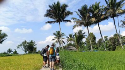 Lombok: Tetebatu Village and Rice Fields Guided Tour - Coffee, Spices, and Traditional Houses: What You Learn Without a Lecture