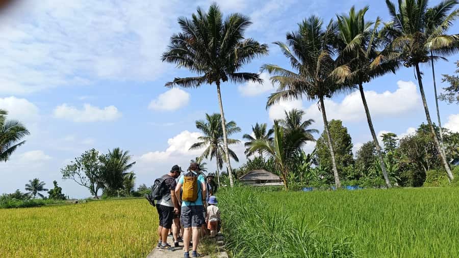 Lombok: Tetebatu Village and Rice Fields Guided Tour - Coffee, Spices, and Traditional Houses: What You Learn Without a Lecture