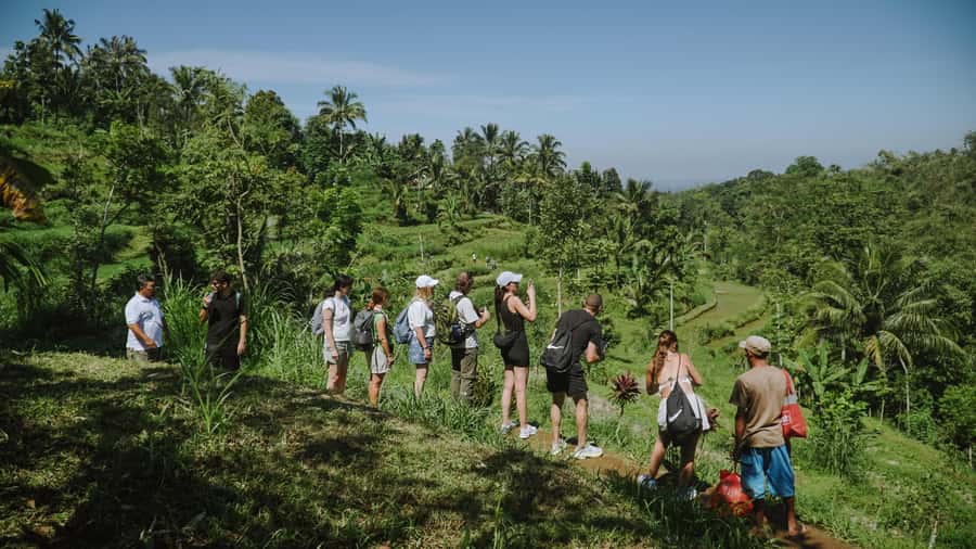 Lombok: Tetebatu Walk, Waterfall, Monkey Forest & Cooking - Lunch and break time: more than just fuel