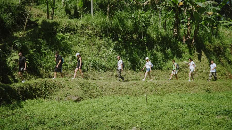 Lombok: Tetebatu Walk, Waterfall, Monkey Forest & Cooking - Optional Sasak cooking class: what you’re really getting