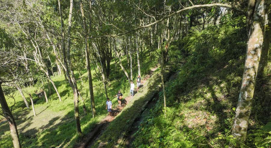 Lombok: Tetebatu Walk, Waterfall, Monkey Forest & Cooking - Rice terraces, Sasak villages, and the slow start that matters