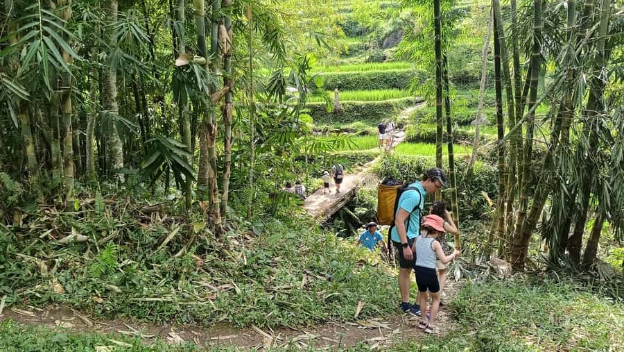 Lombok: Tetebatu Walking Tour with Monkey Forest & Waterfall - Quick Highlights You’ll Actually Care About